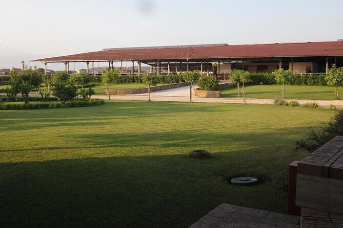 Private Tour: Paestum, Mozzarella Bufala guided tour and lunch - Final Thoughts
