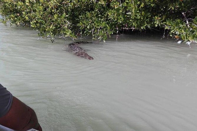 Private Tour: Pink Flamingos, Maya Temples and Ek Balam - Final Thoughts