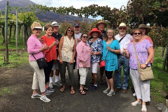 Private Tour: Pompeii and Mount Vesuvius with Wine Tasting - Who Should Consider This Tour?