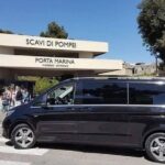 Private Tour: Pompeii Ruins from Rome in a Day - The Sum Up