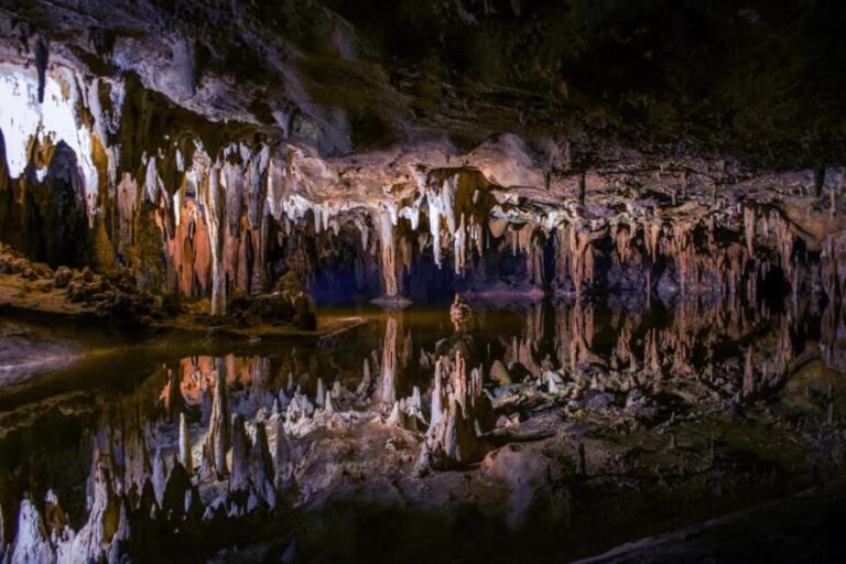 Private Tour: Private Tour: Waitomo Caves (Flexible) - Detailed Breakdown of the Itinerary