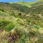 Private Tour Ribeira Grande: Salto do Cabrito Hike - Final Thoughts: Who Will Love This Tour?