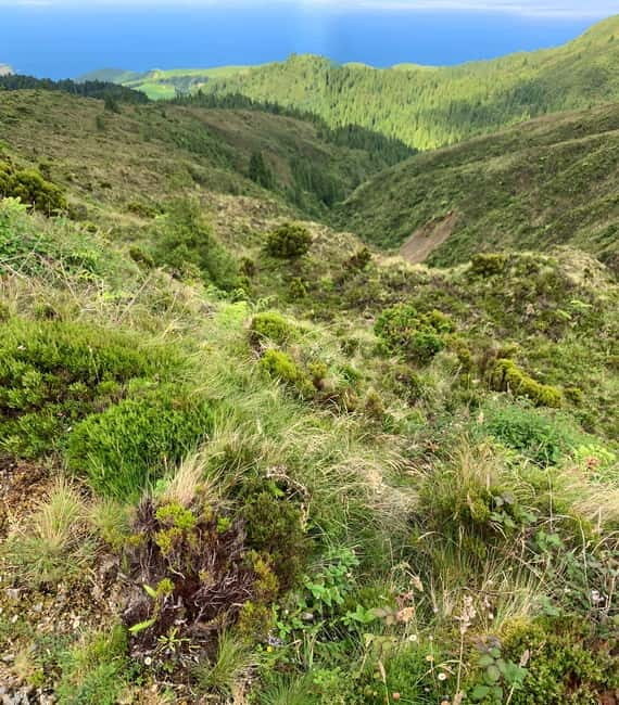 Private Tour Ribeira Grande: Salto do Cabrito Hike - Final Thoughts: Who Will Love This Tour?