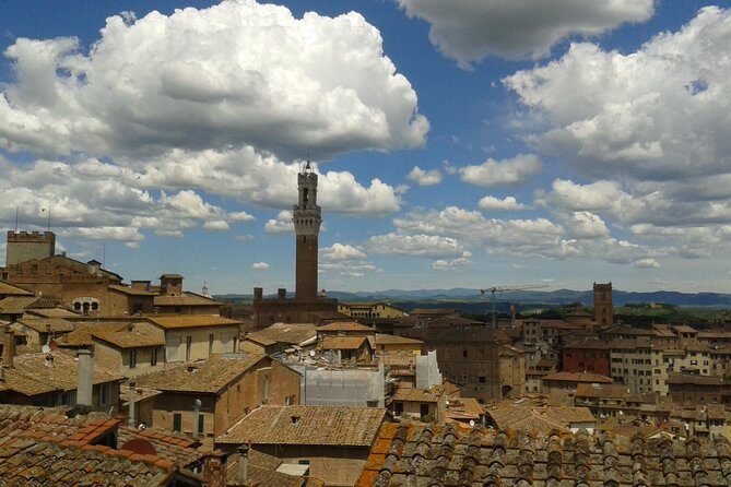Private Tour: Siena Walking Tour - Visiting the Basilica Cateriniana Di S. Domenico