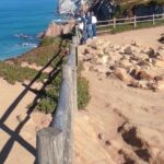 Private Tour Sintra and Cascais - The Sum Up: Who Will Love This Tour?