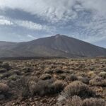 Private tour Tenerife: Teide National Park + Restaurant - A Deep Dive into the Teide National Park Private Tour