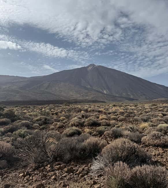 Private tour Tenerife: Teide National Park + Restaurant - A Deep Dive into the Teide National Park Private Tour