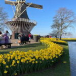 Private Tour, Tesla from Amsterdam: Keukenhof & Tulip Fields - Why This Tour Stands Out