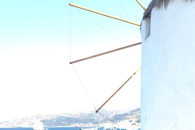 Private Tour: The Best of Mykonos (no walking) - Who Should Consider This Tour?