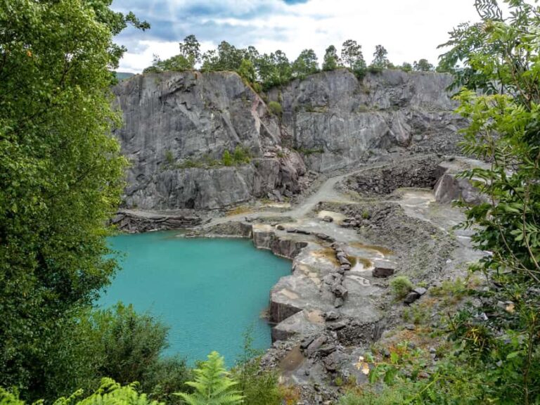 Private Tour: The Rocky Rotorua (Flexible) - Te Puia: The Heart of Maori Culture and Geothermal Wonder