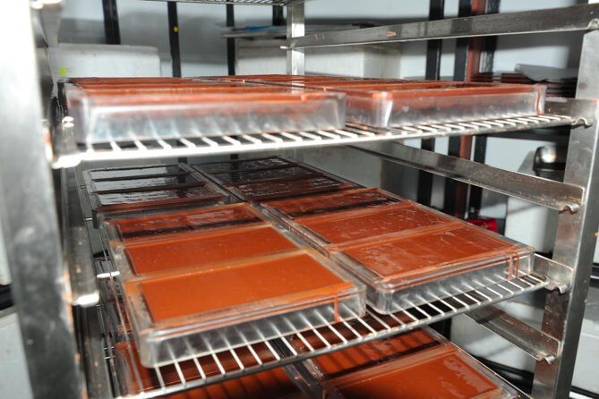Private Tour to Aelan Chocolate Factory in Port Vila - Who Would Enjoy This Tour?