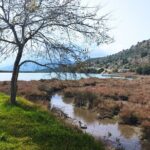 Private tour to Albania from Corfu - Analyzing the Value