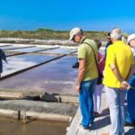 Private Tour to Aveiro and Costa Nova unique striped houses - A Detailed Look at the Tour Experience