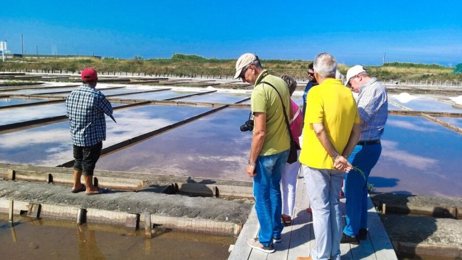Private Tour to Aveiro and Costa Nova unique striped houses - A Detailed Look at the Tour Experience