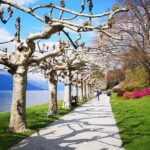 Private Tour to Bellagio and Lake Como from Stresa - Frequently Asked Questions