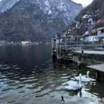 Private Tour to Hallstatt & Salzburg  Comfort and Elegance - Practical Details and What’s Included