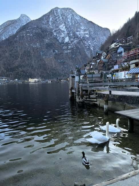 Private Tour to Hallstatt & Salzburg  Comfort and Elegance - Practical Details and What’s Included