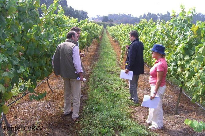 Private Tour to Melgaço and Monção, the heart of the Alvarinho region - What Travelers Say & Why It Matters