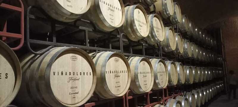 Private tour to Peña de Bernal & Freixenet Winery from CDMX - Authenticity and Practical Tips