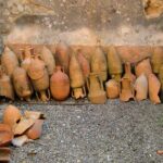 Private tour to Pompeii from Rome: Driver and guide in Pompeii (tickets inc) - Final Thoughts: Why Choose This Tour?