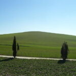Private Tour to Siena and San Gimignano with Wine Tasting & Lunch - The Journey Through Tuscanys Rolling Hills