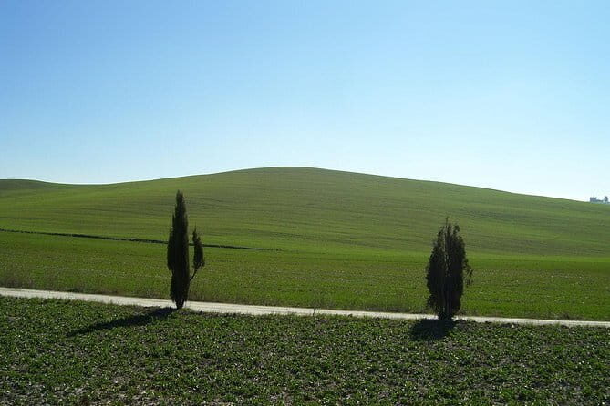 Private Tour to Siena and San Gimignano with Wine Tasting & Lunch - The Journey Through Tuscanys Rolling Hills