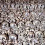Private Tour to Silves Castle Old Town stop at Chapel of Bones - Why This Tour Offers Great Value