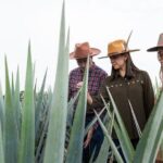 Private Tour to Tequila Ocho Distillery and the Town of Arandas - What’s Included and What’s Not?