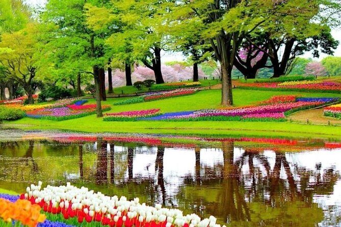 Private Tour to Tulips, Keukenhof, Windmills & Cheese Farm - Who Should Consider This Tour?