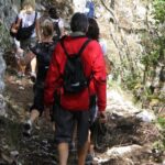 Private Tour: Truffle-Hunting Experience from Amalfi Coast with Lunch - Key Points