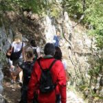 Private Tour: Truffle-Hunting Experience from Naples with Lunch - The Value in What You Get