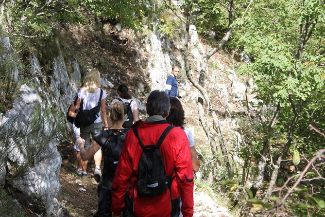 Private Tour: Truffle-Hunting Experience from Naples with Lunch - The Value in What You Get