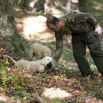 Private Tour: Truffle-Hunting Experience from Positano with Lunch - Discover the Hidden Delights of Truffle Hunting in Campania: A Private Day Trip from Positano