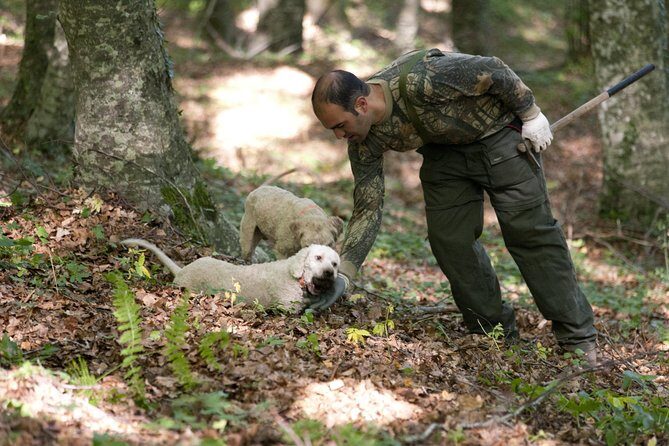 Private Tour: Truffle-Hunting Experience from Positano with Lunch - Discover the Hidden Delights of Truffle Hunting in Campania: A Private Day Trip from Positano