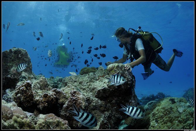 Private Tour: Underwater Scooter Bora Bora - An In-Depth Look at the Bora Bora Underwater Scooter Tour