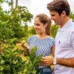 Private Tour Uxmal Land Rover Vintage safari & Mayan brunch - A Closer Look at the Experience