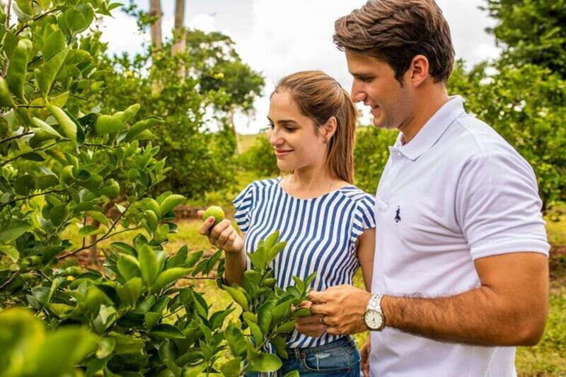 Private Tour Uxmal Land Rover Vintage safari & Mayan brunch - A Closer Look at the Experience