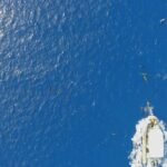 Private Tour Whale Watching BORA-BORA - Final Thoughts