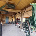 PRIVATE TOUR: Windmills, Cheese Farm, & Canal Cruise Tour - Practical Aspects and Value