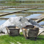 Private Tour: Wine Tasting Tour, Mud Baths, History & more - What Makes This Tour Stand Out?