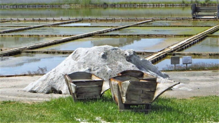 Private Tour: Wine Tasting Tour, Mud Baths, History & more - What Makes This Tour Stand Out?