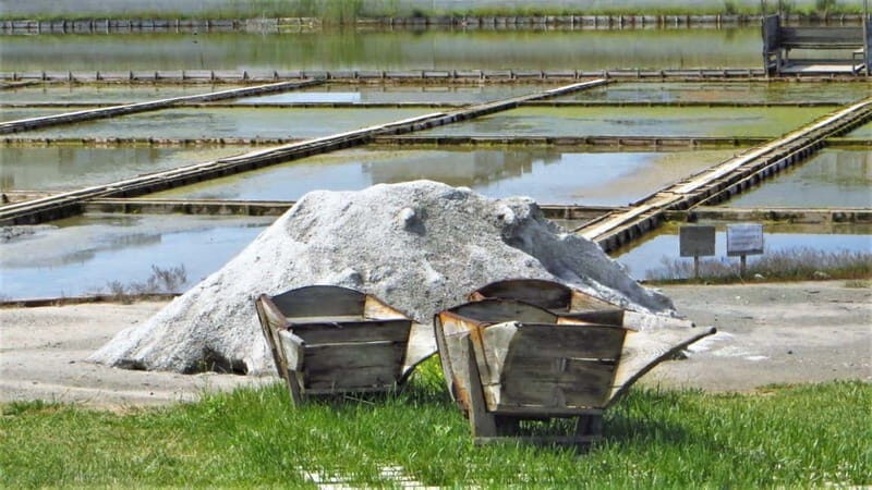 Private Tour: Wine Tasting Tour, Mud Baths, History & more - What Makes This Tour Stand Out?