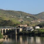 Private tour with 3 wineries and viewpoint - Final Thoughts