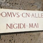 Private Tour with Official Guide through the wonders of Pompeii. - Why This Tour Stands Out