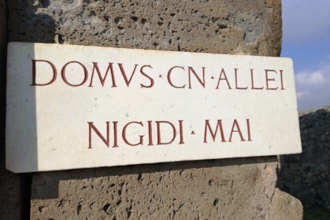 Private Tour with Official Guide through the wonders of Pompeii. - Why This Tour Stands Out