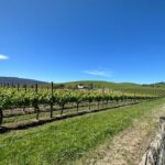 Private Tour: Yarra Valley Wine, Cheese, Bubbles & Chocolaterie - FAQs