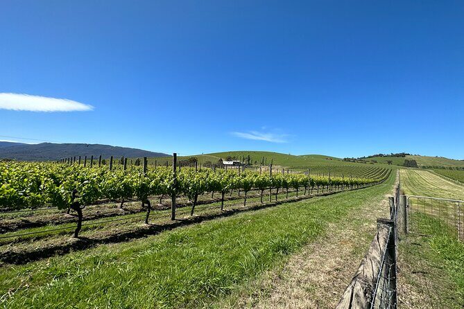 Private Tour: Yarra Valley Wine, Cheese, Bubbles & Chocolaterie - FAQs