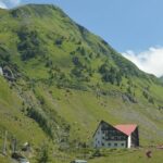 Private Transfagarasan Road Scenic Tour from Bucharest - The Sum Up