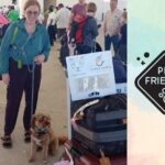 Private Transfer Cancun-Cancun/Ferry Isla Mujeres/Puerto Morelos - FAQ: Practical Questions Answered