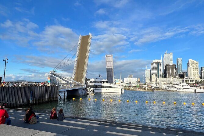 Private Transfer From Auckland Airport Oaks To Auckland City - Who Will Love This Service?